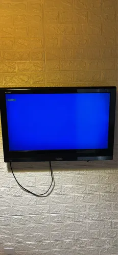 Televisão 