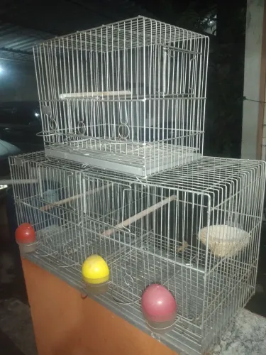 Gaiola muito boa 