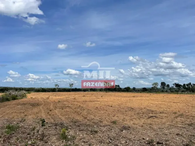 Fazenda 347 alqueires (1.810 hectares) Goiatins - To