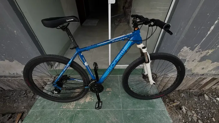 Bike Aro 29