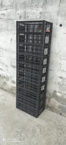 Caixas de alho barato 