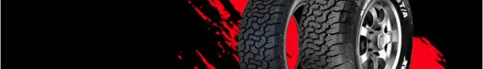 Pneus 215/65/16 toro duster