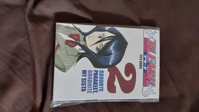 Bleach 02 