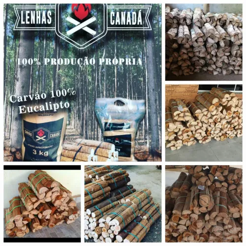 Lenha de Eucalipto Carvão Canada - Produção Própria