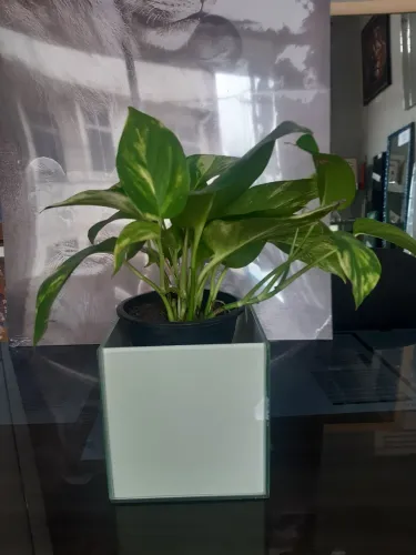 Vaso Decorativo de Vidro cachepot
