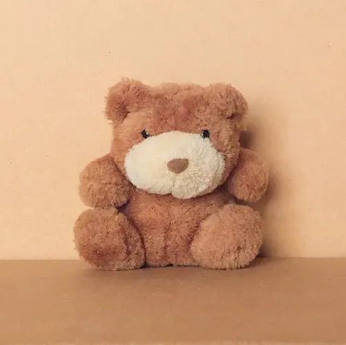 brinquedo - pelúcia urso marrom pequeno (usada)