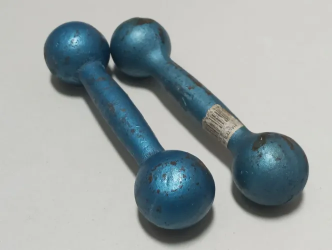 Halteres de 1/2kg - par