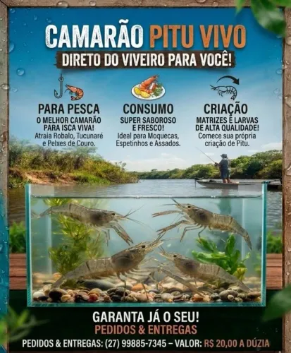 Disponível 
