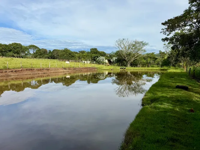 Chácara 133.000m2 Rica em Água. A 45 km de Goiânia! 
