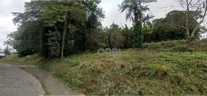Terreno Vila Nova à venda, ZR1 c/ 3723 m² por R$ 3.174.000 - Vila Nova - Blumenau/SC