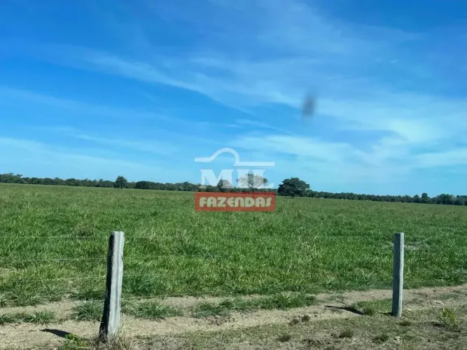 Fazenda 203 Alqueires (983 Hectares) São Miguel do Araguaia - Go