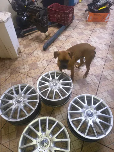 Roda jetta