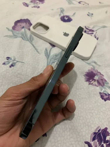 iPhone 12 Pro Max 256