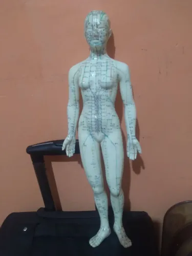 Boneca de silicone anatômica para acupuntura