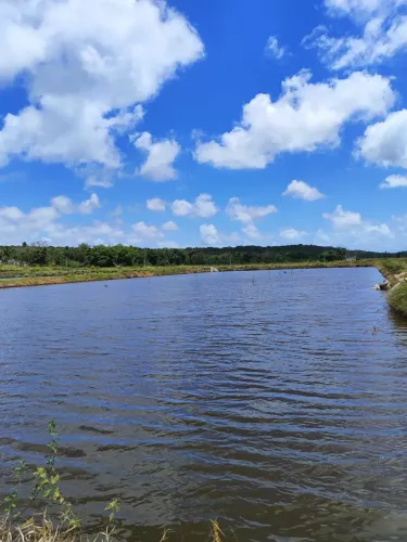 Fazenda de camarão com 5 hectares em Canguaretama