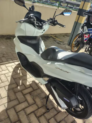 PCX 24/24 nova