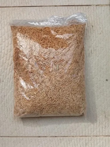 Casca de arroz - Substrato para Mirtilo (blueberry) - pacote 4 litros
