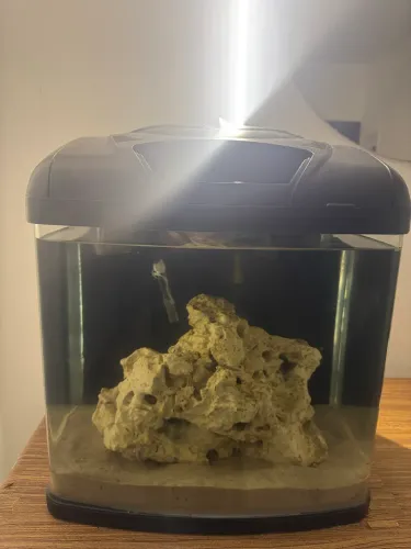 Aquario curvo 30 litros completo