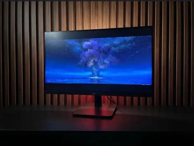 MONITOR LG 24P 100HZ