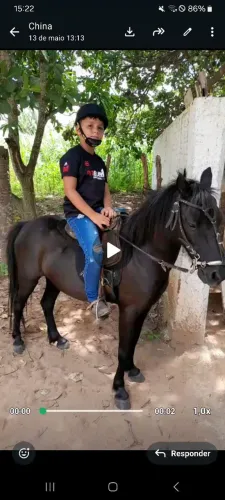 Vendo um lindo pone manso 