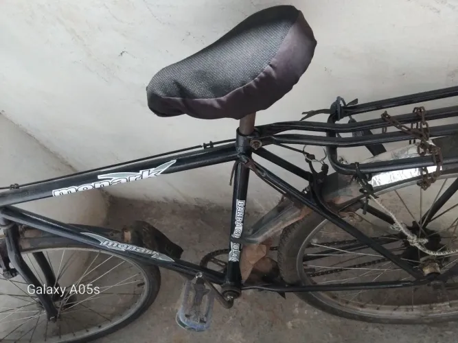 Bicicleta ranger bike 