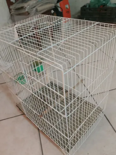 Vendo Gaiola de passarinho 