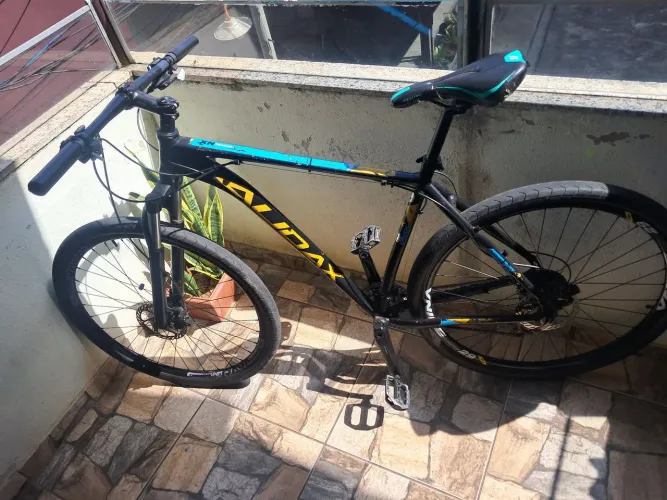Bicicleta audax