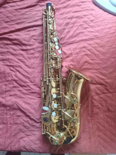 Saxofone Alto Tivoli (Semi-novo) - Completo e Pronto para Tocar!