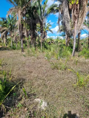 Terreno localizado no piquizeiro 