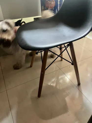 Cadeira moderna