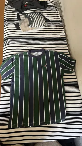 Camiseta Dickies India