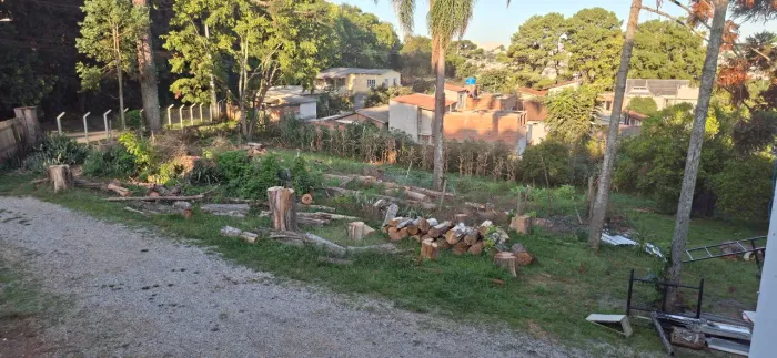 Madeira para lenha