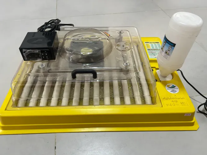CHOCADEIRA PREMIUM ECOLÓGICA HOBBY 48 OVOS 220v