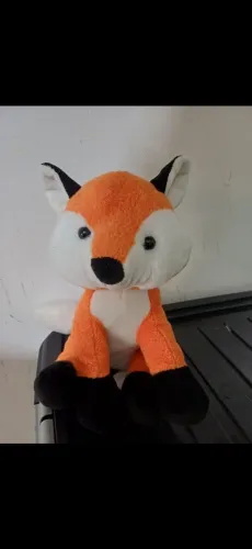 Raposa buba