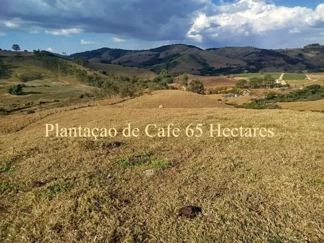 Fazenda em Oliveira /MG 65 hectares café E PLANTAÇOES DIVERSAS,, PODENDO USAR AGUA POR GRA