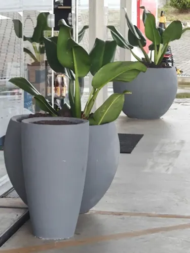 Vasos em cimento para frutíferas 