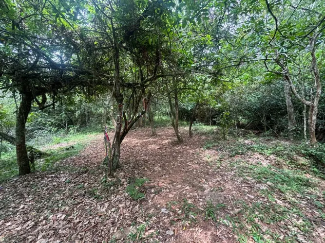 ? Oportunidade Imperdível em Lomba Grande - 10 Hectares de Natureza
