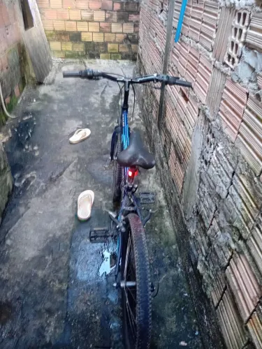 Bicicleta