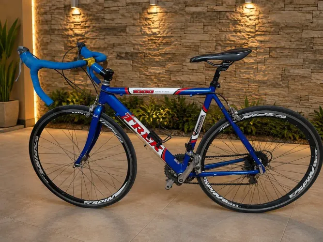 Bicicleta speed
