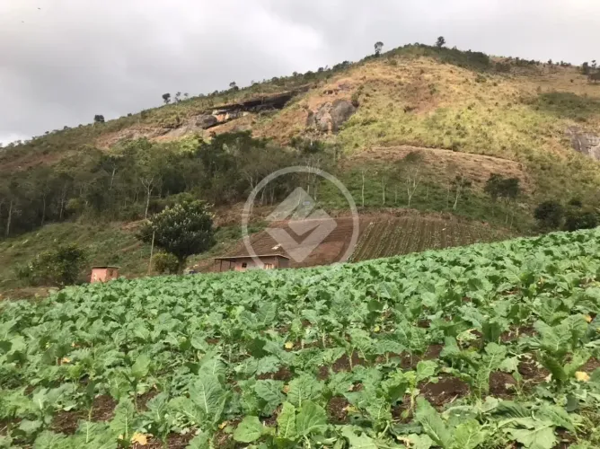 Área de 12,2 Hectares em Vieira Teresópolis | Potencial Rural e Turístico codigo: 383484