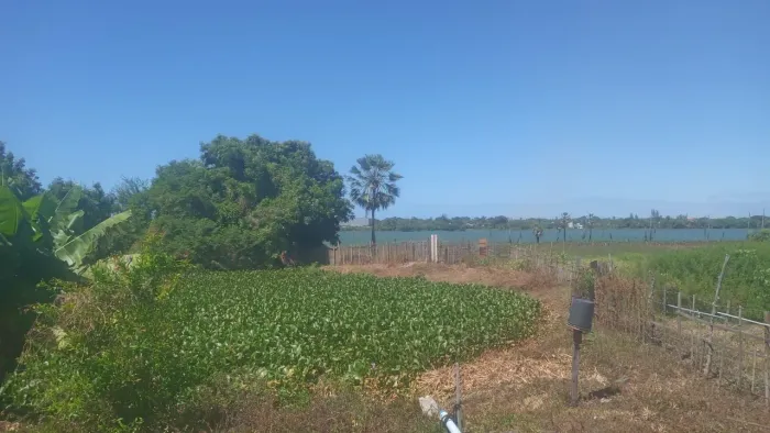 Venda ou aluguel de terreno
