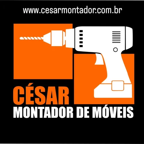 Montador de móveis profissional!