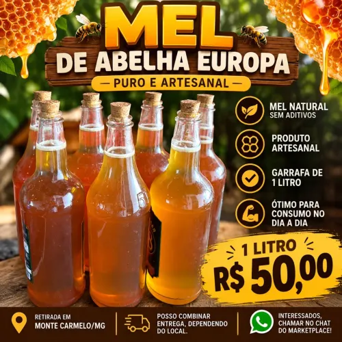 Mel de abelha Europa puro e artesanal