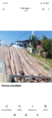 Escora eucalipto