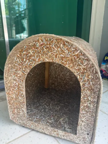 Casinha Recriar Pet Cães e Gatos