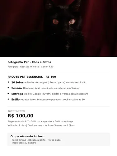 Ensaio Fotográfico Pet - Cães e Gatos