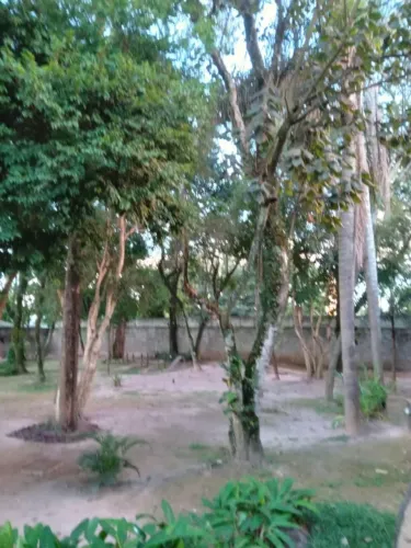 Procuro para Arrendar área rural de 4.000 a 8.000 em Uberlândia MG