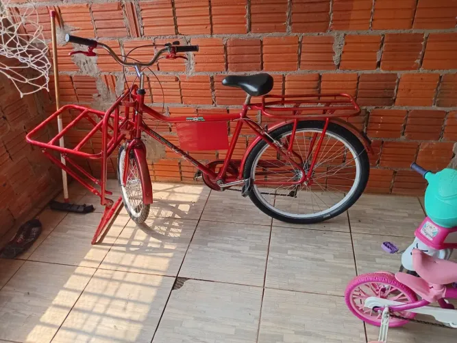 Bicicleta cargueira