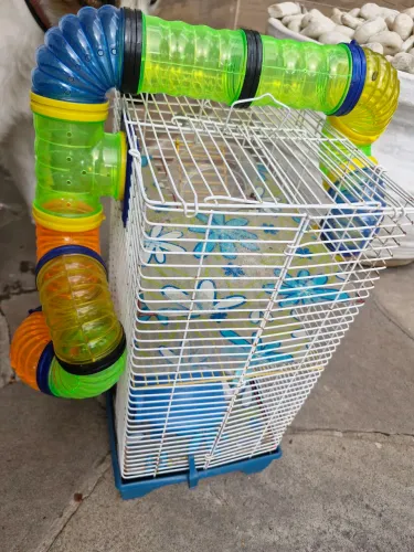 Hamister gaiola ramister