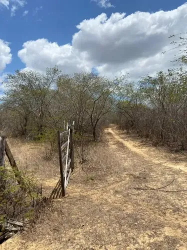 Excelente fazenda com 395 hectares na região de Guamaré